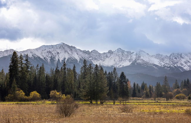 Gutowa Mountain Corner by Renters - Foto 32