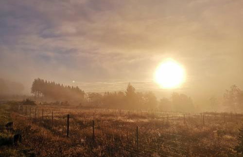 adBs Ferienhaus - Photo 13