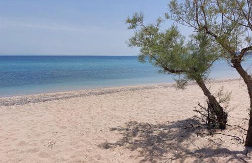 Flamingo View Suites & Villas - Photo 67