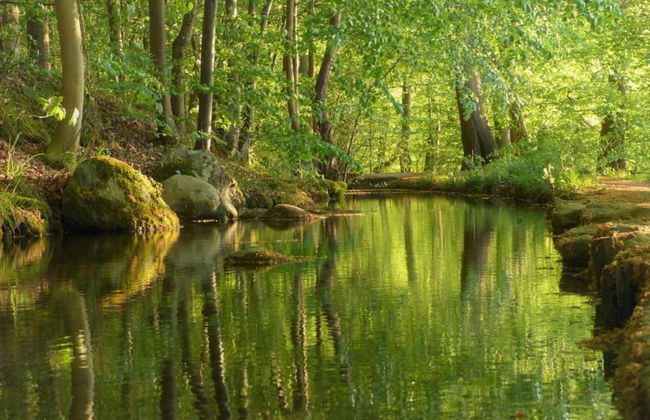 Beautiful Authentic Mill Close to the Beach - Foto 35