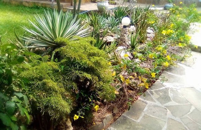 Beach Front Nicky Villa - Foto 48