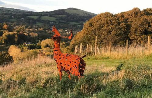 Stags View,Unique eco cabin, Dartmoor views - Foto 36