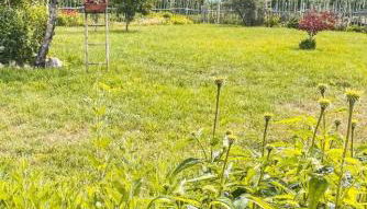 AGRITURISMO DAL PEROTIN - Foto 4