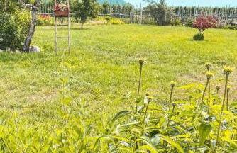 AGRITURISMO DAL PEROTIN - Photo 4