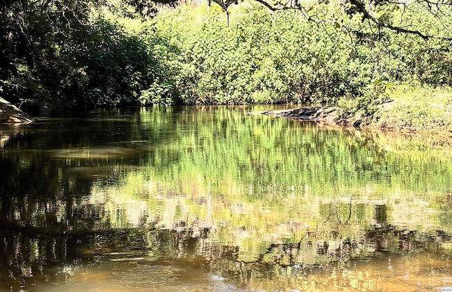 Into the Wild - Foto 27