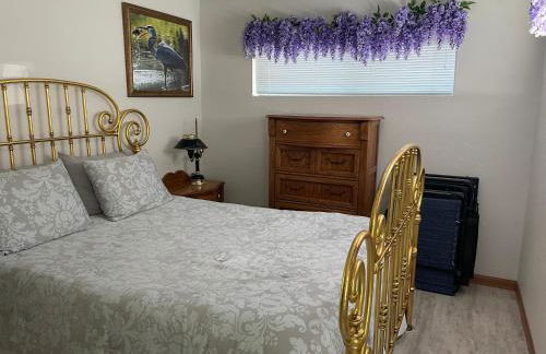 STAIRS OPTIONAL! Lakefront! Pool! On Water! Convenient Fishing! - Photo 8