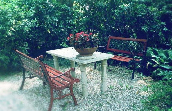 Venice Region Castle With Garden Views - Foto 11