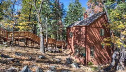 Forest Glen - Foto 2