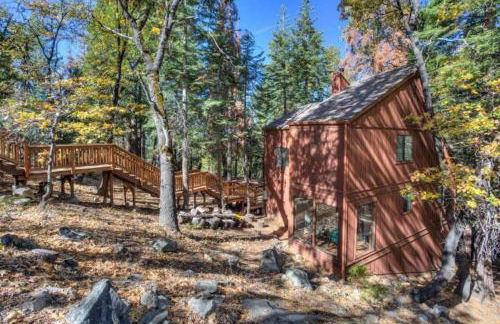 Forest Glen - Foto 2