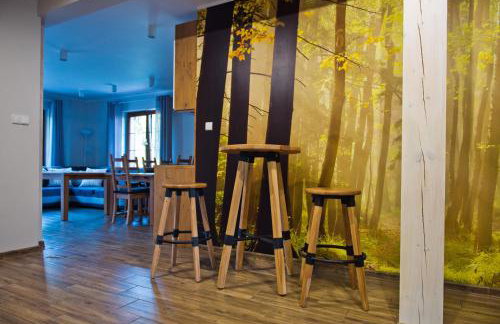 Apartamenty Buczyna w Sierakowie - Foto 55