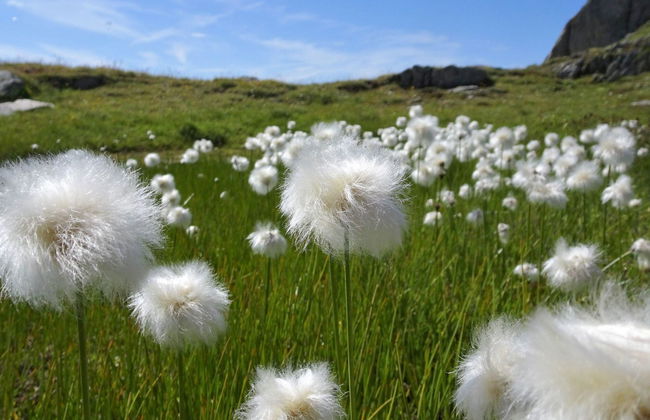 LuxLax 2. OG Süd - Foto 20