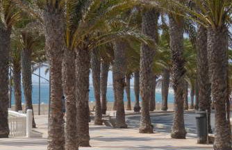 Higuericas Costa 211 - Foto 36