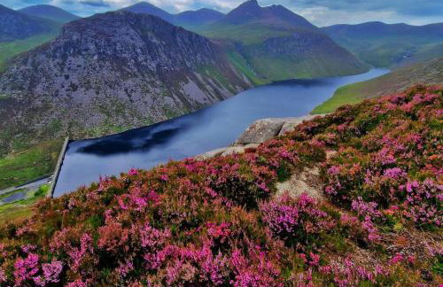 Loughview House overlooking Carlingford lough - Photo 26