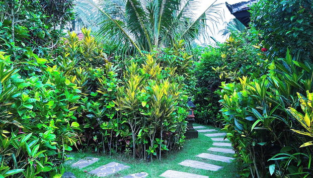 Ambary Ubud Private Courtyard Villa - Foto 2, Entrada interior
