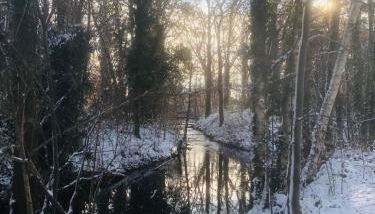 Spreewaldhaus Raddusch, Boote- Fahrräder gratis - Foto 4