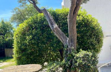 Villa Marecoco - Photo 24