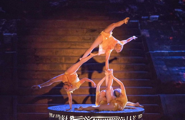 Dîner-croisière avec spectacle - Photo 8