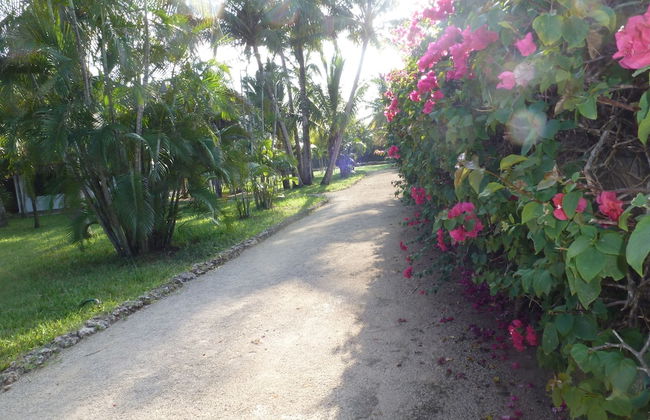 luxury villa - Foto 19