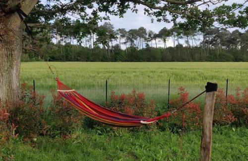 Tipi Apache des monteaux - Photo 23