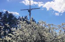 Dębowy Zakątek - Foto 27