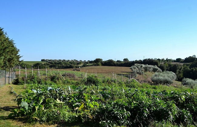 Ars Naturae Biologic Farm - Foto 68