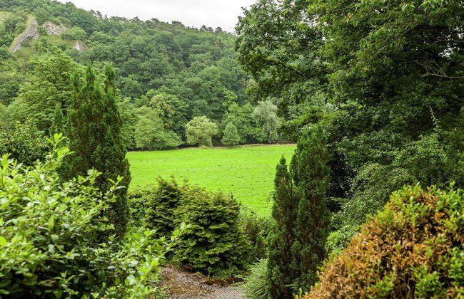 Cozy Escape in Bohon - Photo 32