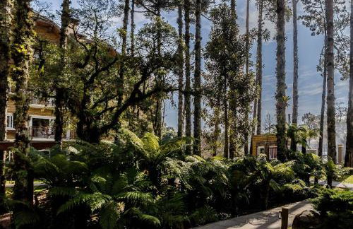 Cobertura Duplex com Piscina Aquecida, próximo aos museus - Foto 51