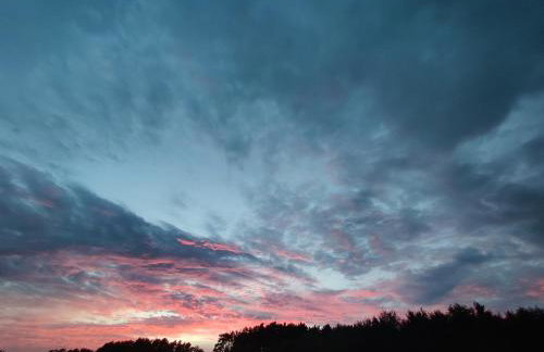 Dom Szumią Wierzby - Foto 57