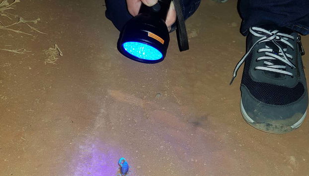 Disfrutando del tour nocturno