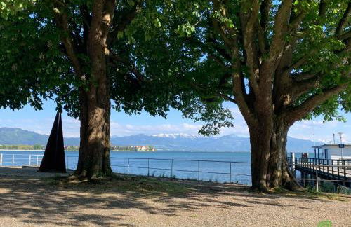 Parkvilla SCHACHEN 7 - Apartment Tanne - Foto 6