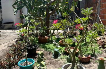 Casinha da vovó - Photo 4