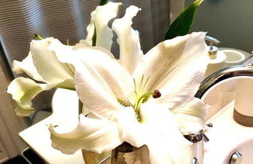 Jackson Star, A MidCentury Dream - Photo 27