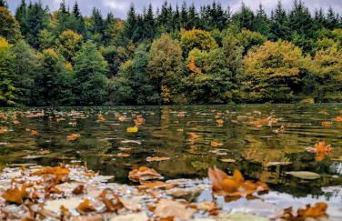 Ferienwohnung Lygri - Foto 15