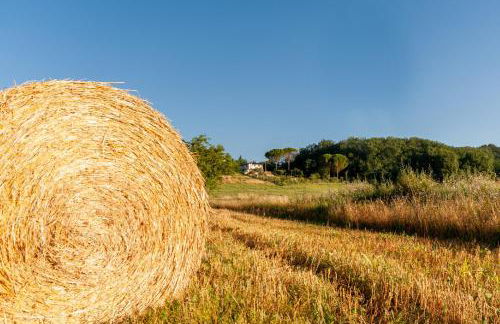 Villa Colle di Giotto Mugello, Tuscany - Foto 31