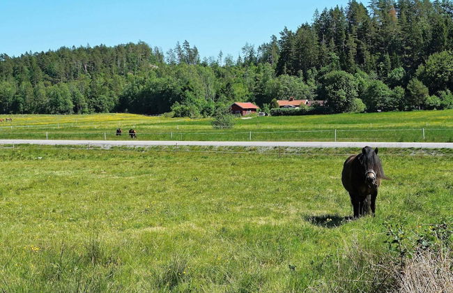 4 Person Holiday Home in Ucklum - Foto 7