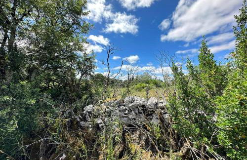 Les Terrasses - Foto 40