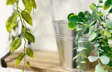 L'industriel de Kléber - Gare - Netflix - Calme - Photo 31