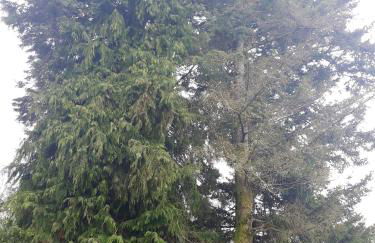 Cozy studio with mountain view - 20 m² - Águeda - Foto 11