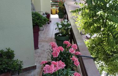 Katerini - Pieria - Foto 43