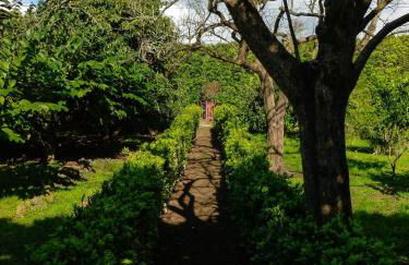 Quinta do Espírito Santo - Photo 12