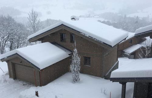 Les Portes de Megève - Foto 6