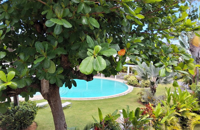 Aligio Aparthotel Beachfront - Foto 73