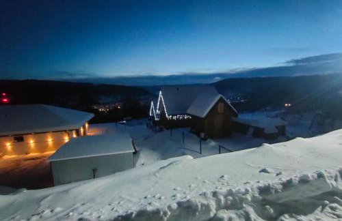 Domki na Kamiennej Laworcie - Foto 69