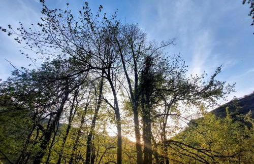 Casa Nayala - Foto 69