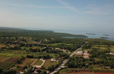 The Golden Well - Foto 3