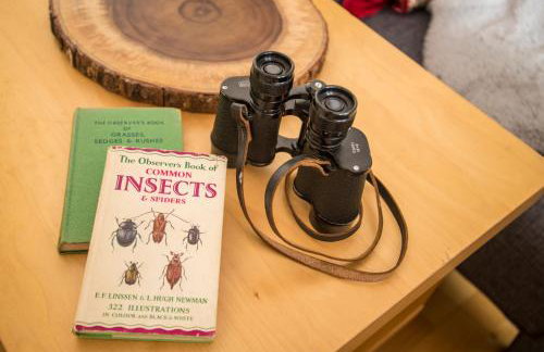 12 & 14 On the Hill Aberfoyle, twin holiday cottages in Scenic Loch Lomond & Trossachs National Park - Foto 24