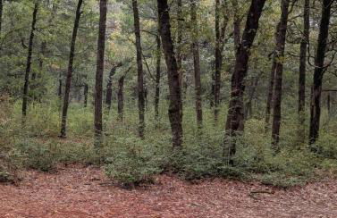 Cozy Cabin Escape - Foto 26