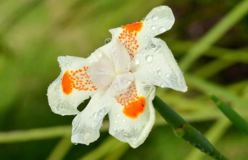 Residencial Portinari LTDA - Foto 44