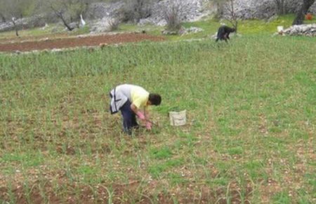 Nike house - Foto 43