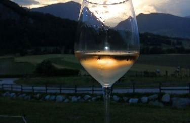 AGRITURISMO MASO PERTENER -adults friendly- - Foto 11